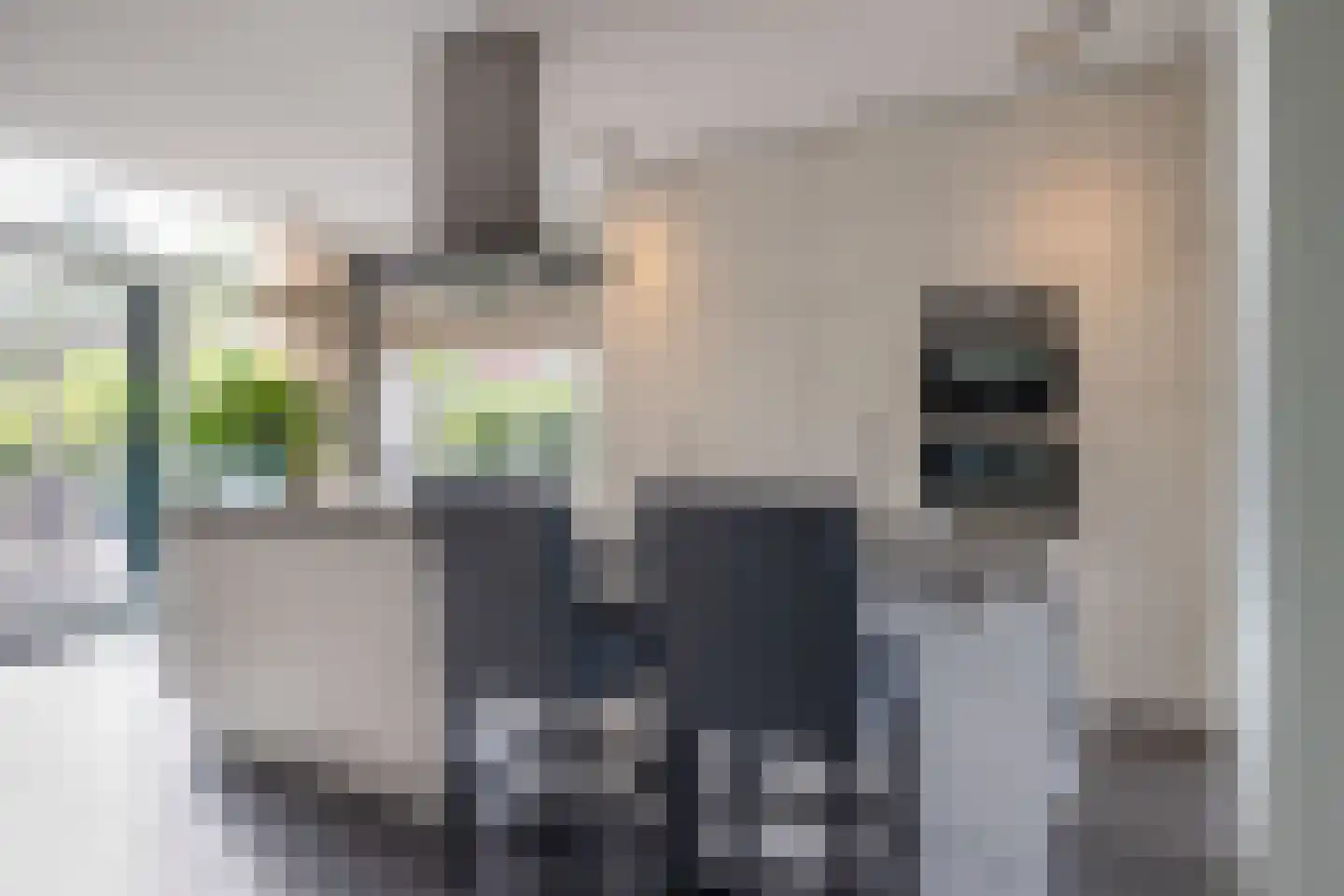 Mansholtlaan 3 Woerden thumbnail 21