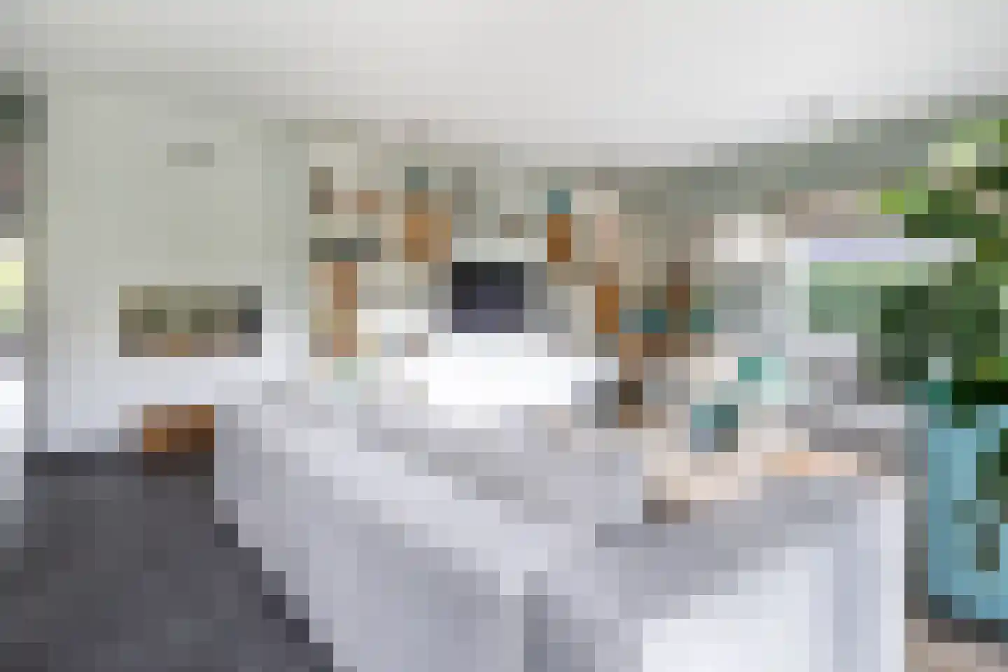 Mansholtlaan 3 Woerden thumbnail 27
