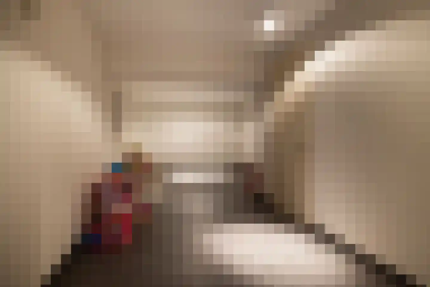 Mansholtlaan 3 Woerden thumbnail 41
