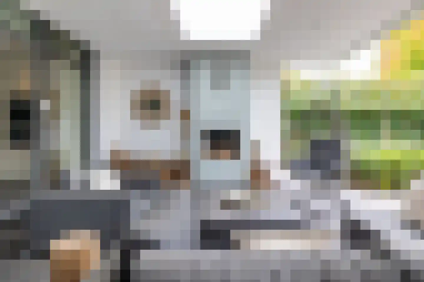 Mansholtlaan 3 Woerden thumbnail 42