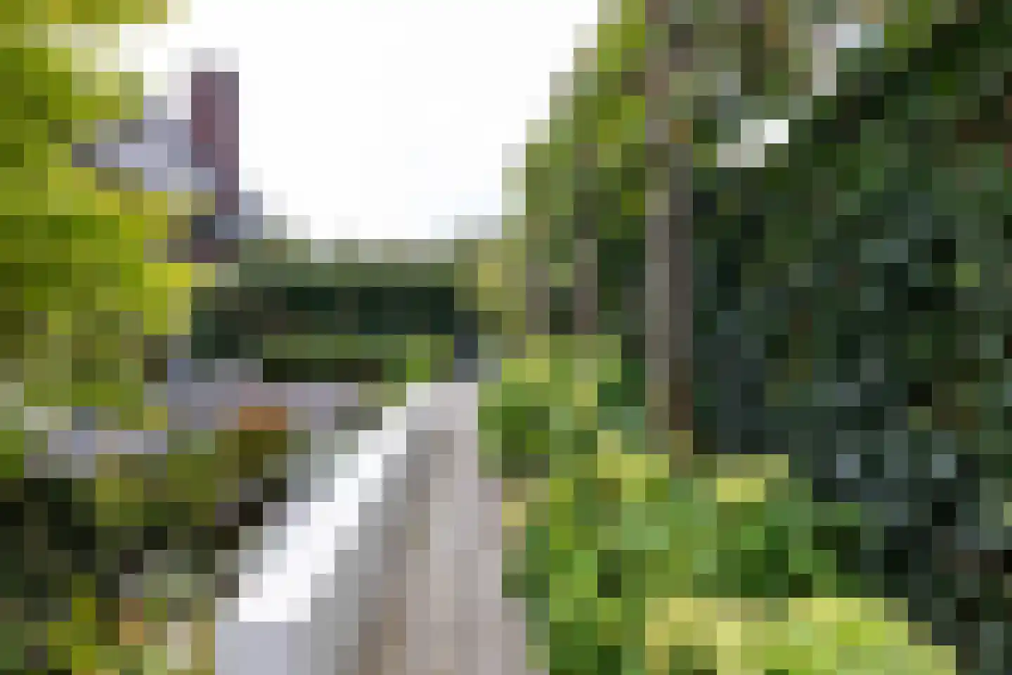 Mansholtlaan 3 Woerden thumbnail 69