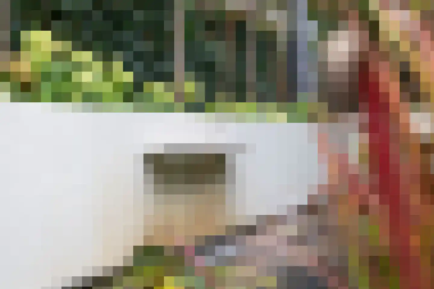 Mansholtlaan 3 Woerden thumbnail 72