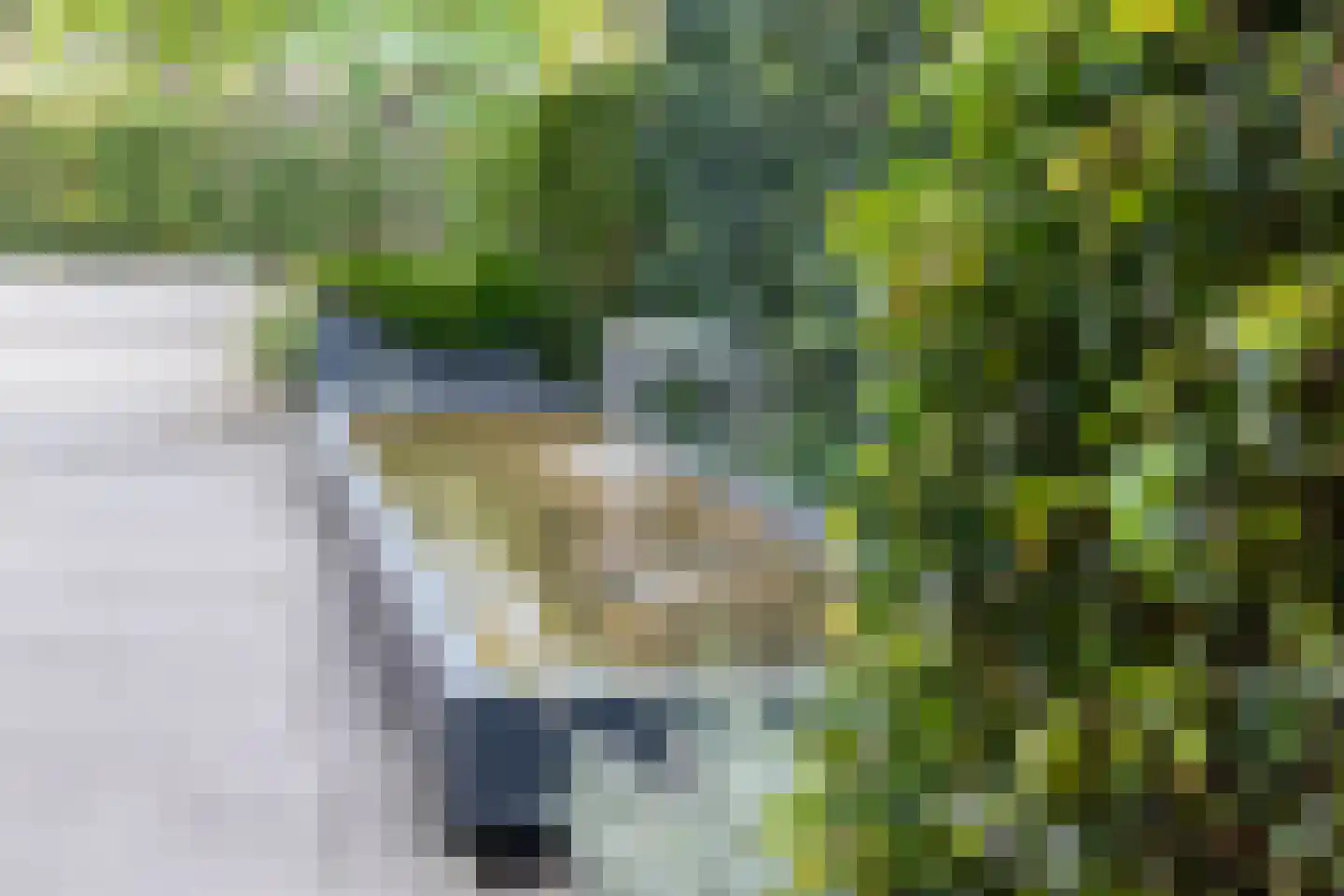 Mansholtlaan 3 Woerden thumbnail 81