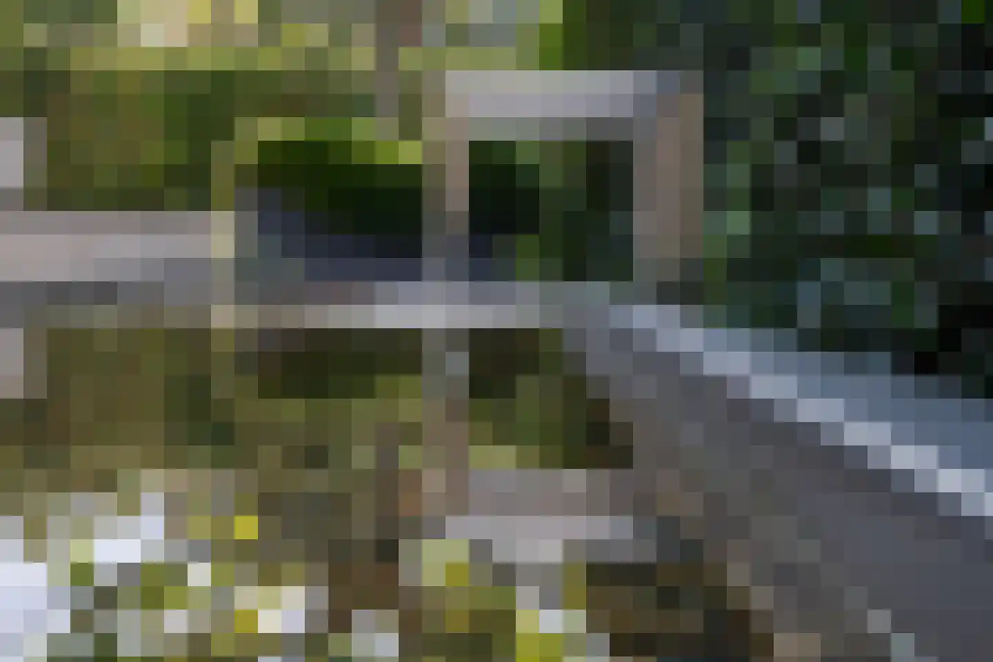 Mansholtlaan 3 Woerden thumbnail 83