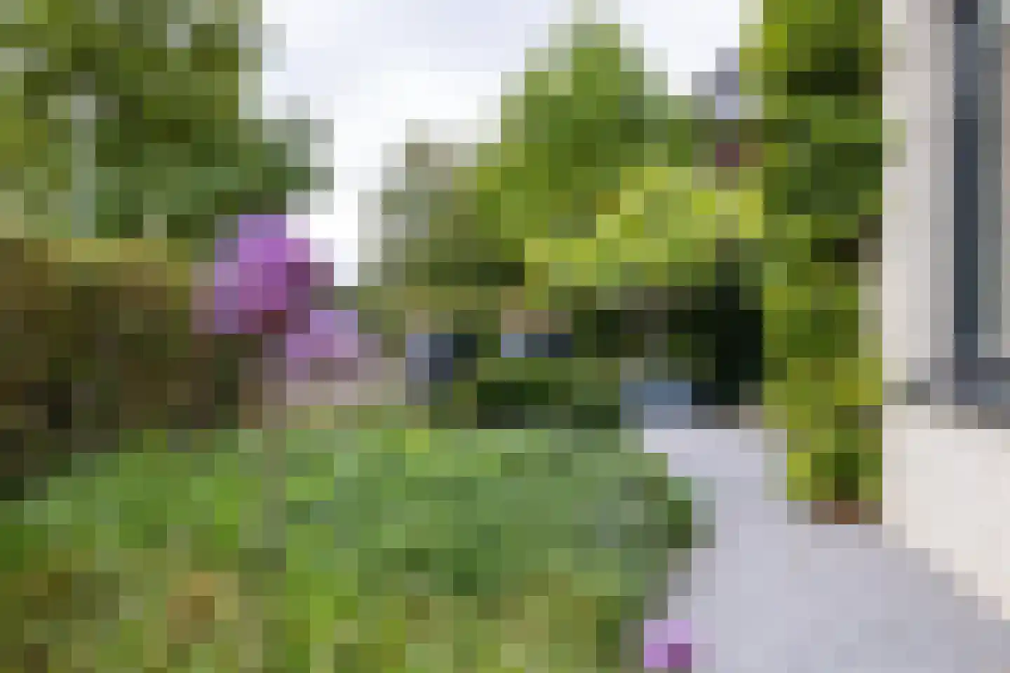 Mansholtlaan 3 Woerden thumbnail 85
