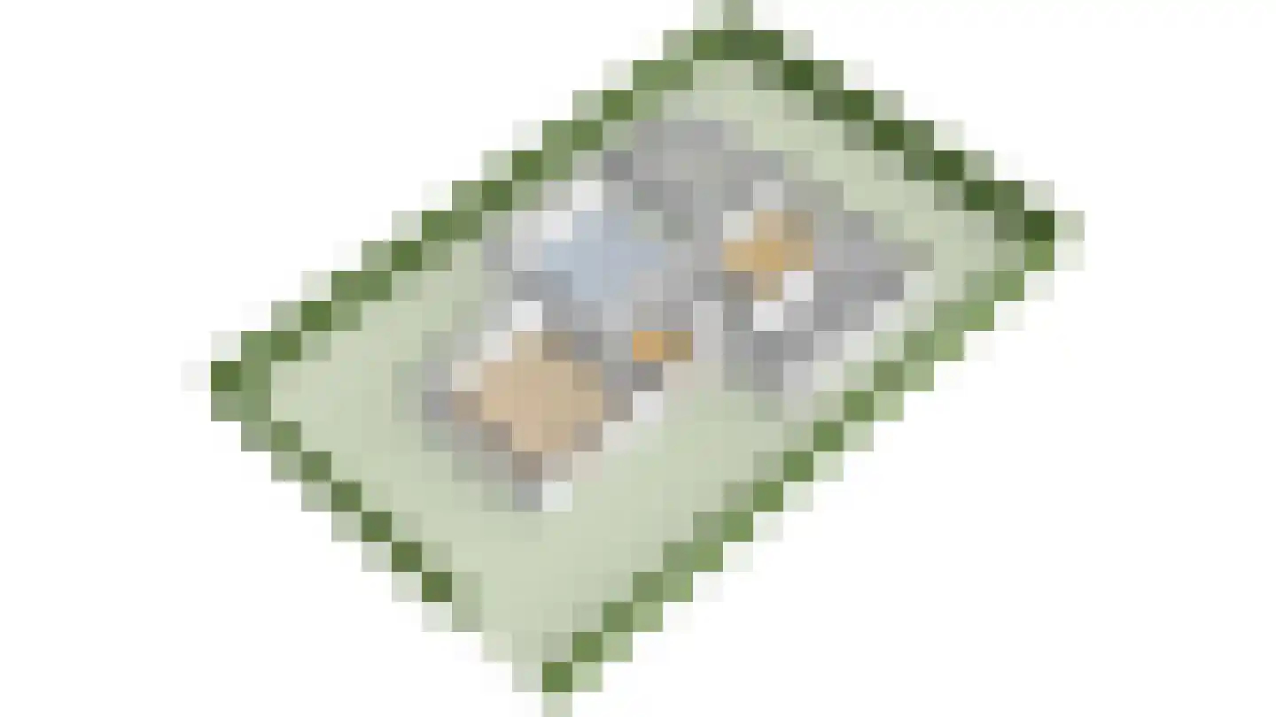 Mansholtlaan 3 Woerden thumbnail 96