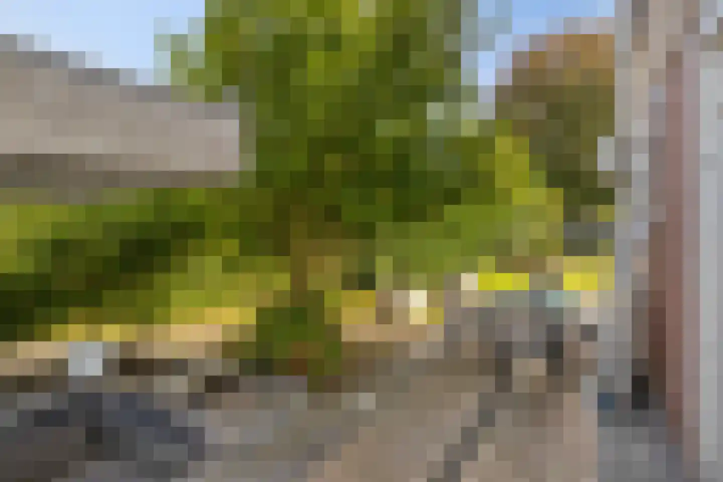 Mansholtstraat 21 Landgraaf thumbnail 22