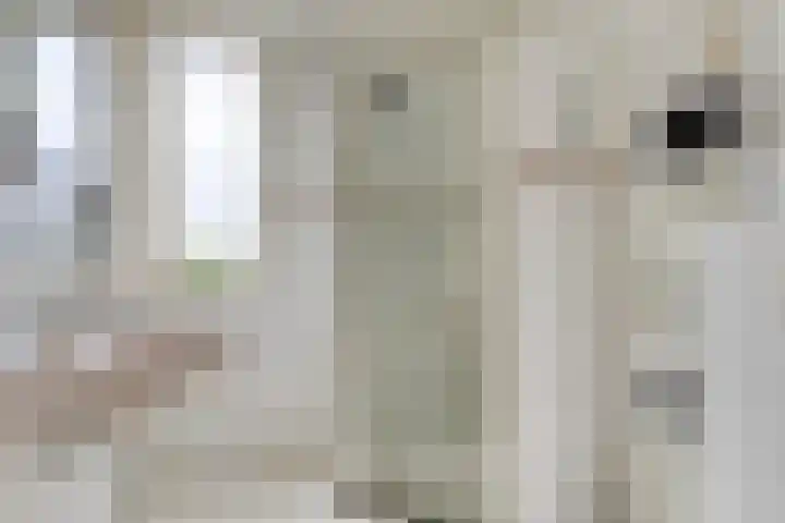 Mansholtstraat 75 Hoogezand thumbnail 15