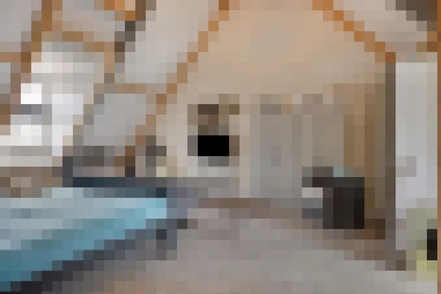 Mansus 20 Veldhoven thumbnail 23