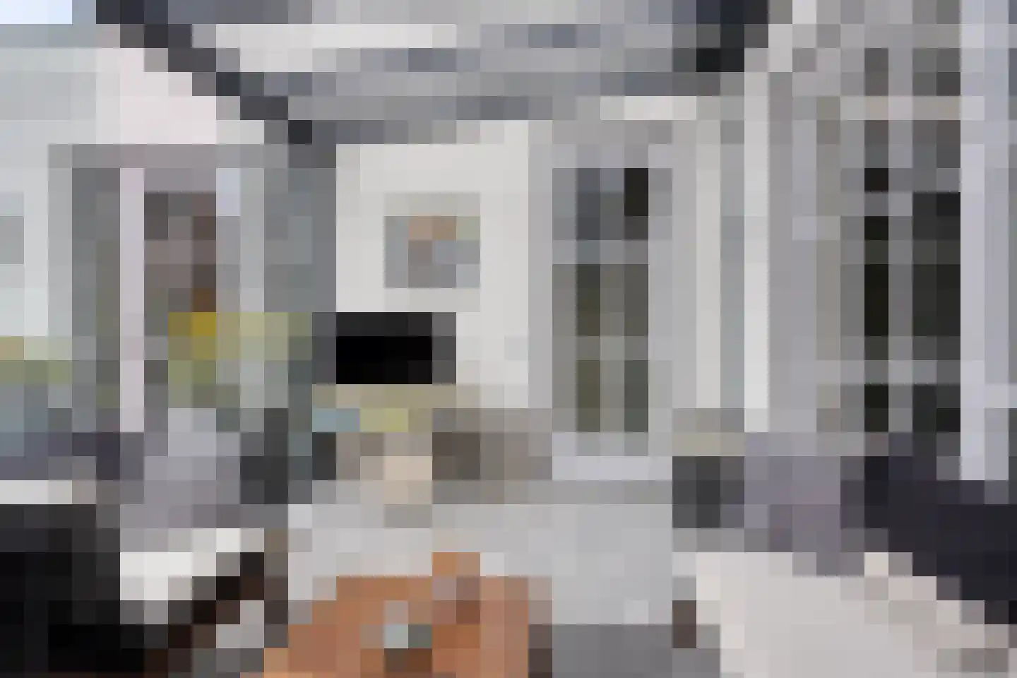 Mansus 20 Veldhoven thumbnail 29