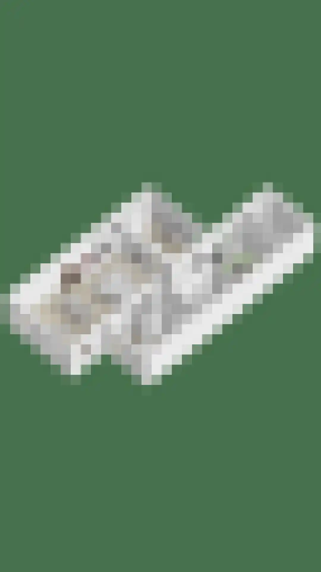 Mansus 20 Veldhoven thumbnail 42
