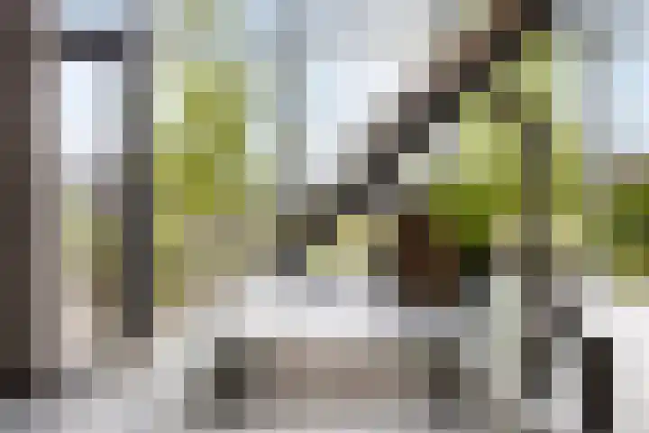 Mansus 23 Veldhoven thumbnail 15