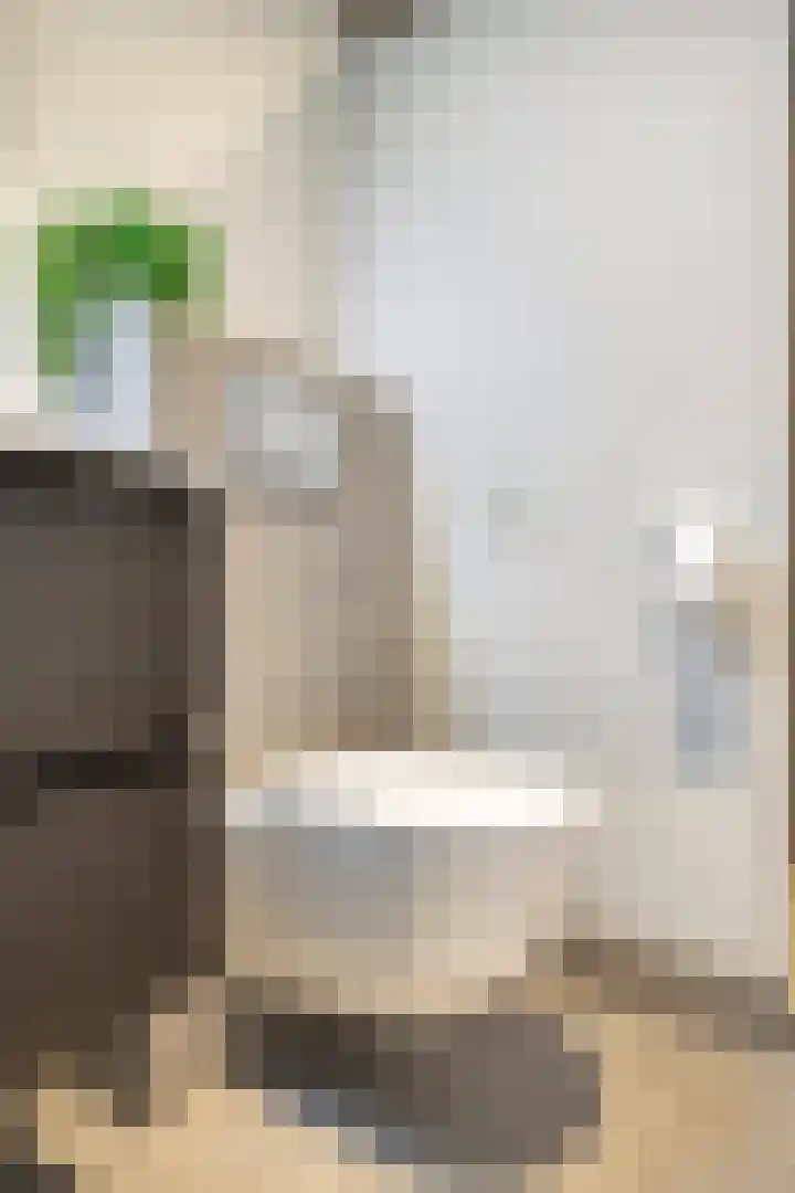 Mansus 23 Veldhoven thumbnail 48