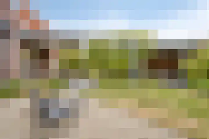 Mansus 23 Veldhoven thumbnail 51
