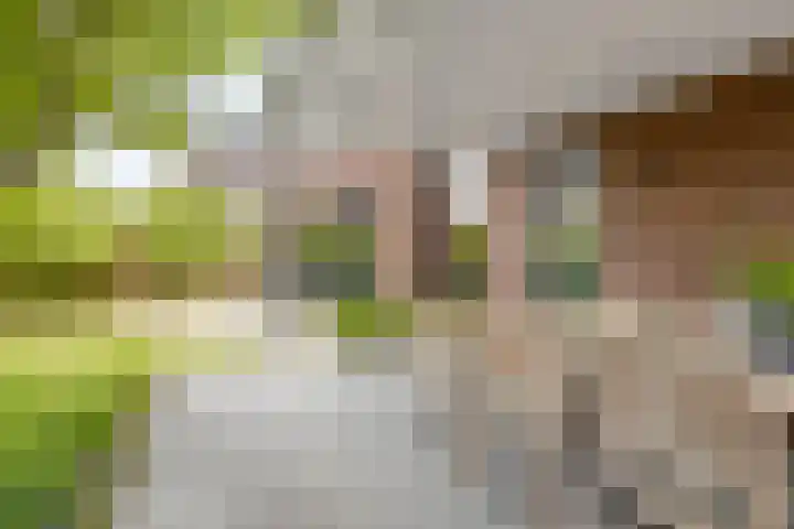 Mansus 23 Veldhoven thumbnail 52