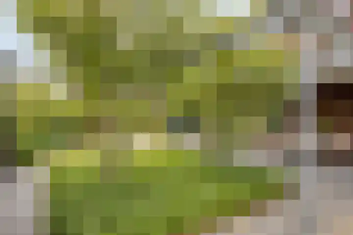 Mansus 23 Veldhoven thumbnail 54