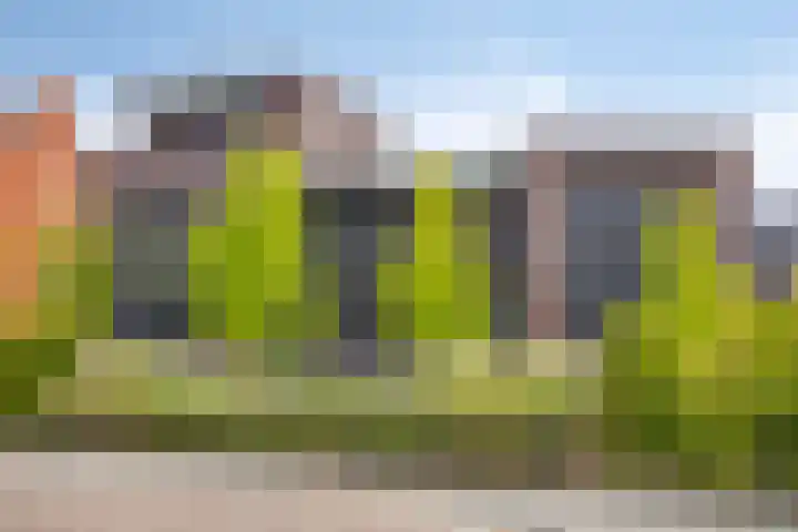 Mansus 23 Veldhoven thumbnail 57