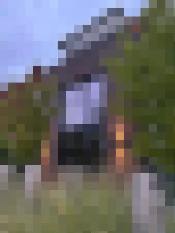 Mansus 23 Veldhoven thumbnail 59