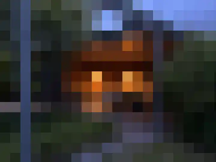 Mansus 23 Veldhoven thumbnail 61