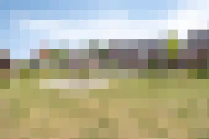 Mansus 23 Veldhoven thumbnail 63