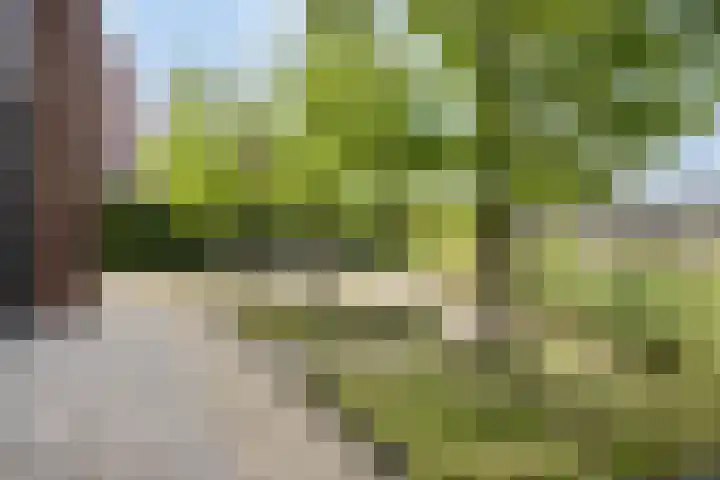 Mansus 23 Veldhoven thumbnail 8