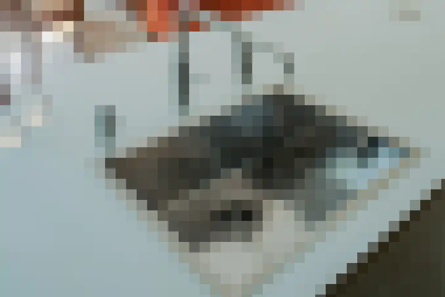 Mansus 4 Veldhoven thumbnail 18