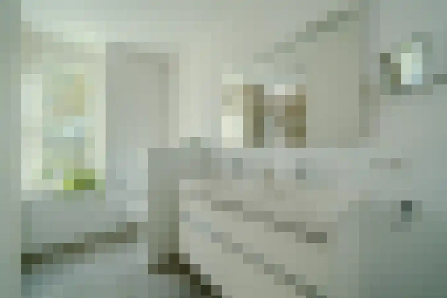 Mansus 4 Veldhoven thumbnail 36
