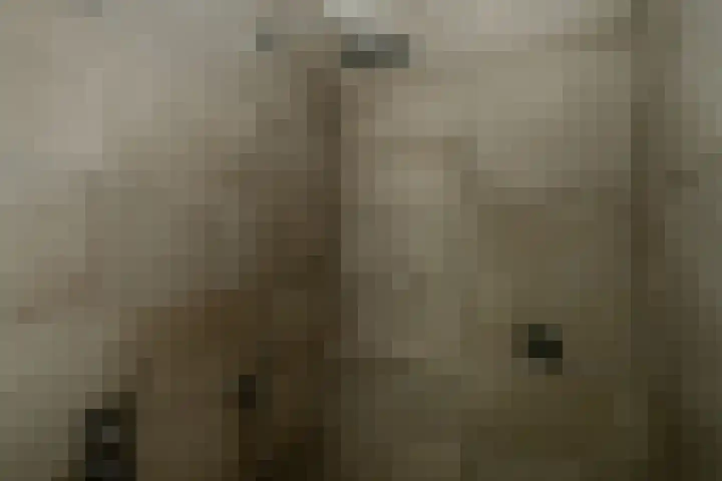 Mansus 4 Veldhoven thumbnail 39