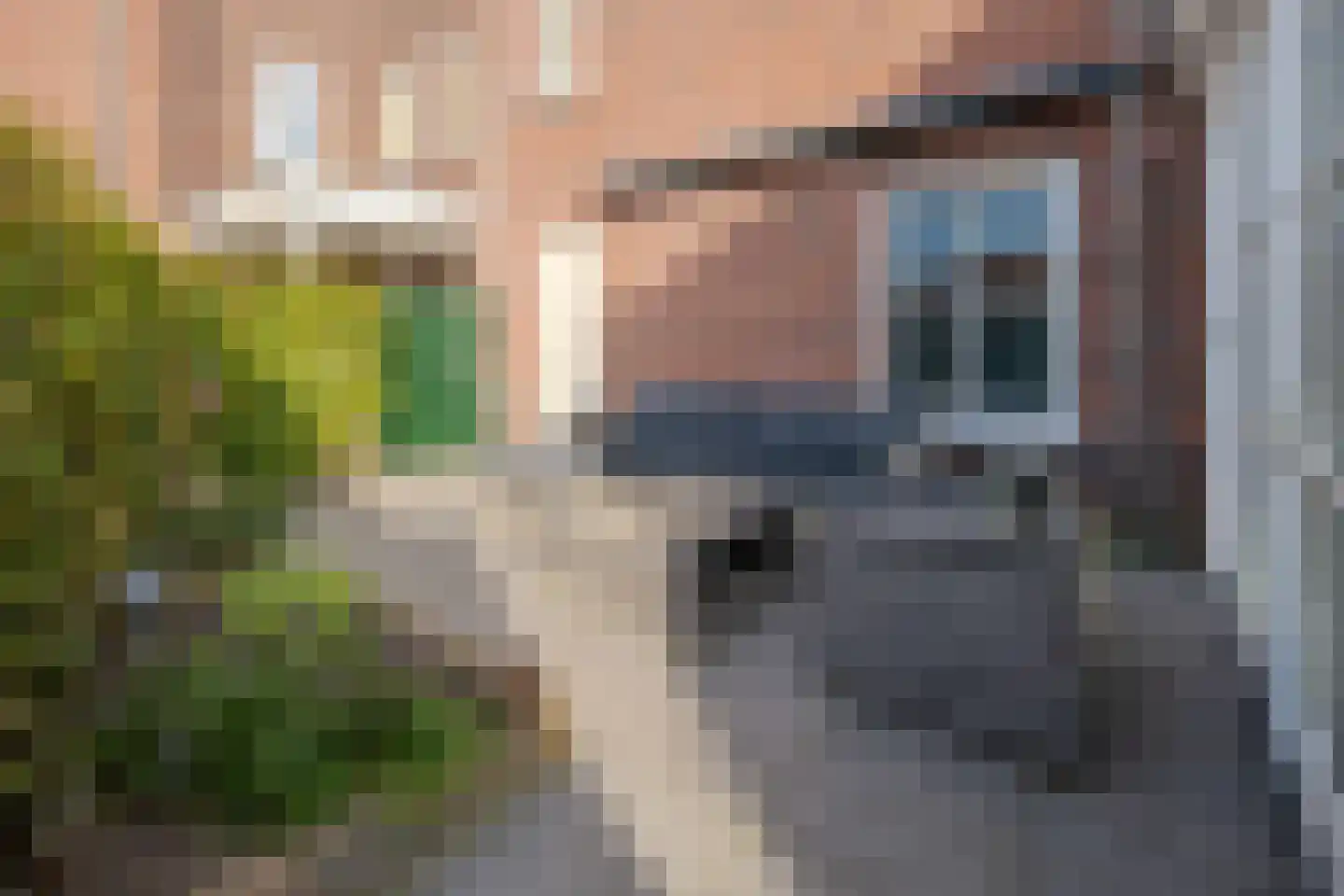 Mansus 4 Veldhoven thumbnail 54