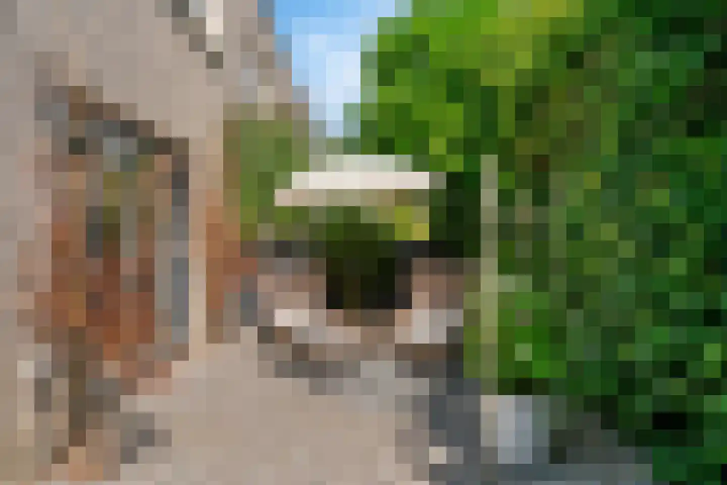 Mantegnaplantsoen 3 Almere thumbnail 13