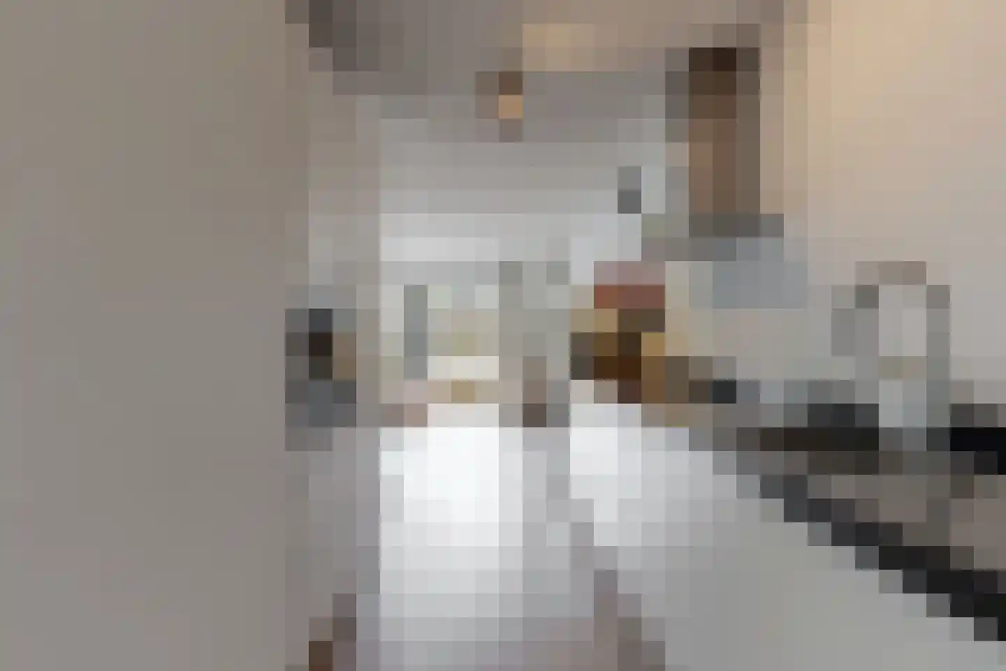 Mantegnaplantsoen 3 Almere thumbnail 17