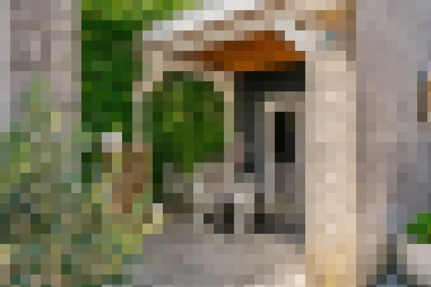 Mantegnaplantsoen 3 Almere thumbnail 27