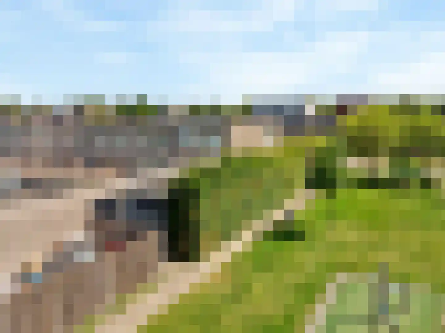 Mantegnaplantsoen 3 Almere thumbnail 38