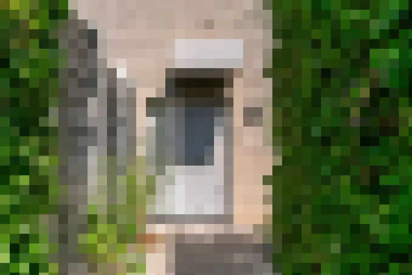 Mantegnaplantsoen 3 Almere thumbnail 6