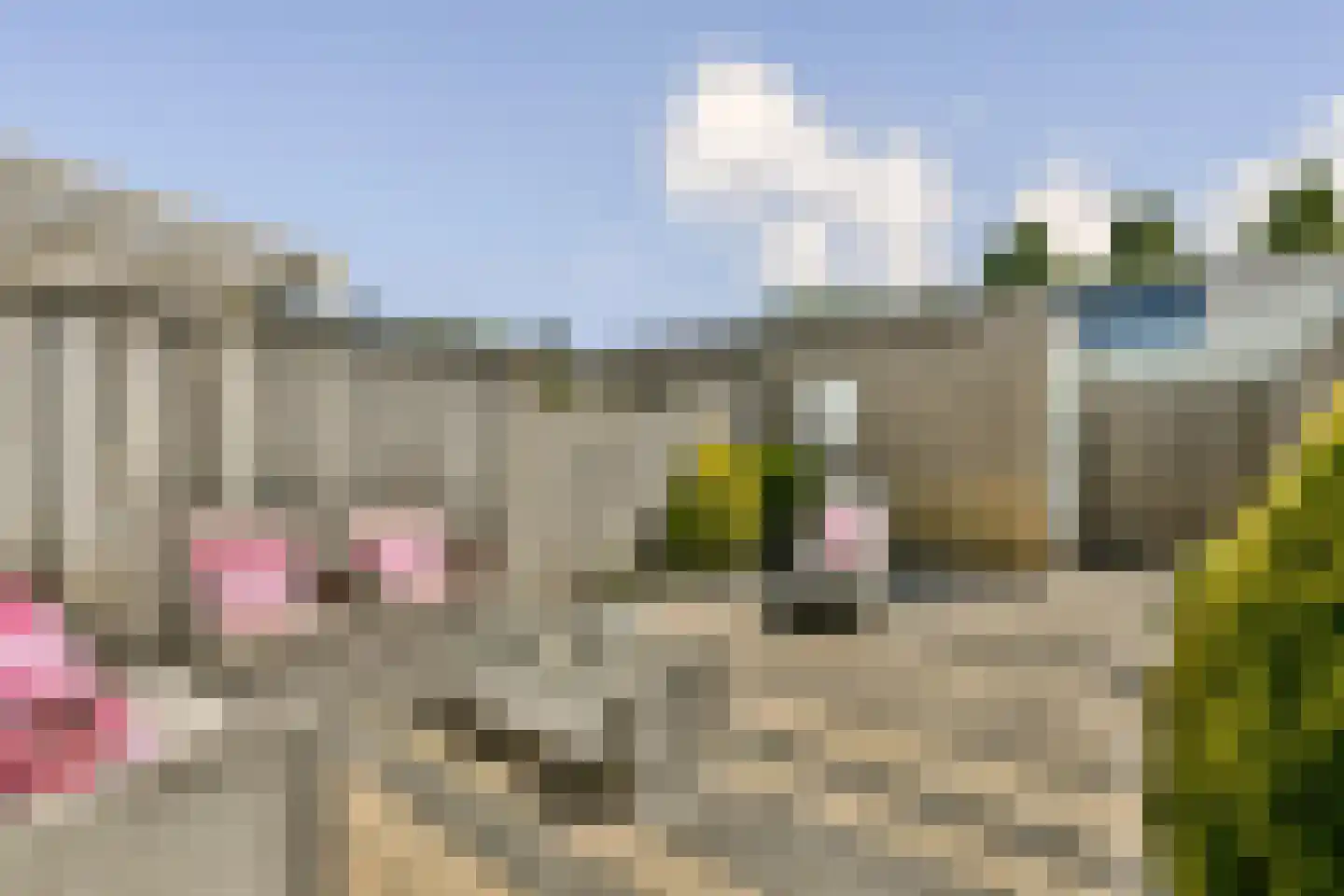 Mantegnaplantsoen 6 Almere thumbnail 12