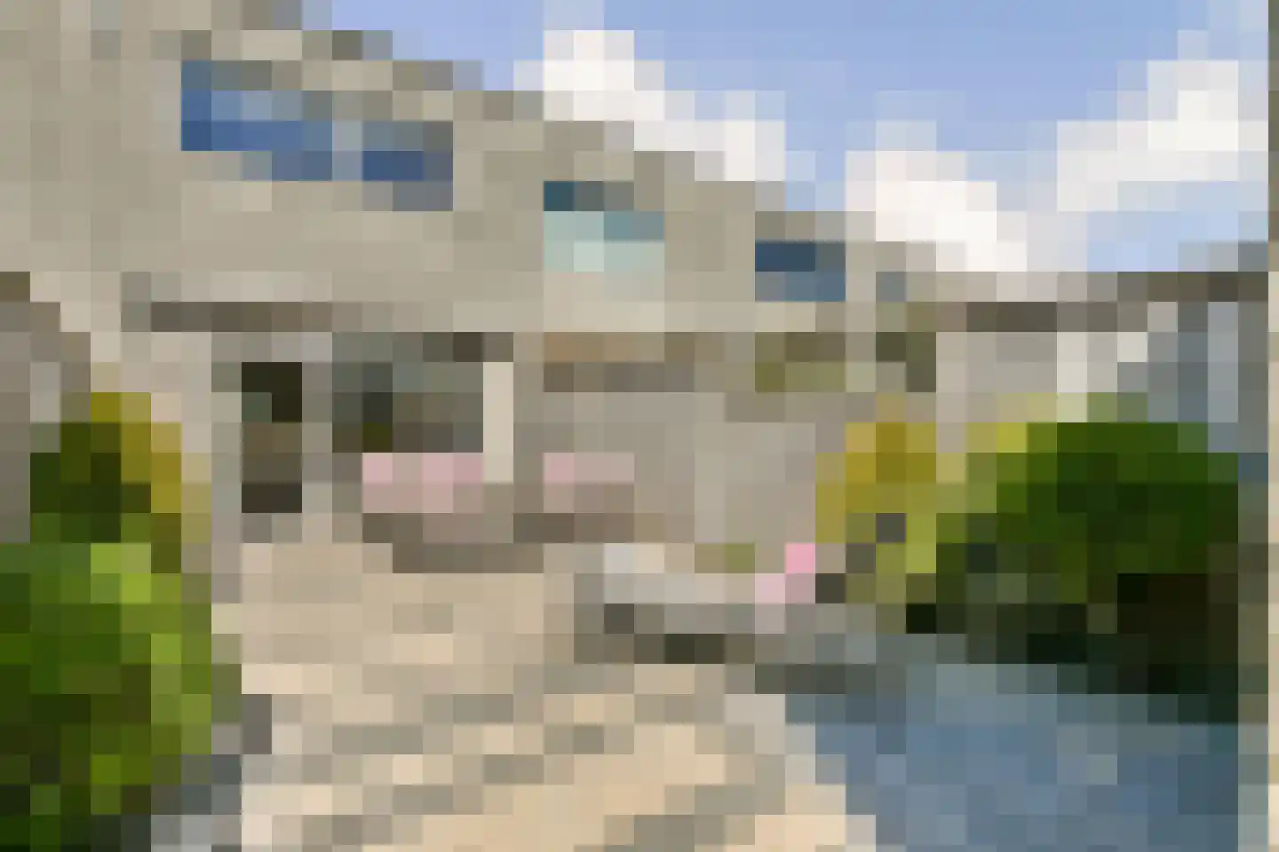 Mantegnaplantsoen 6 Almere thumbnail 13