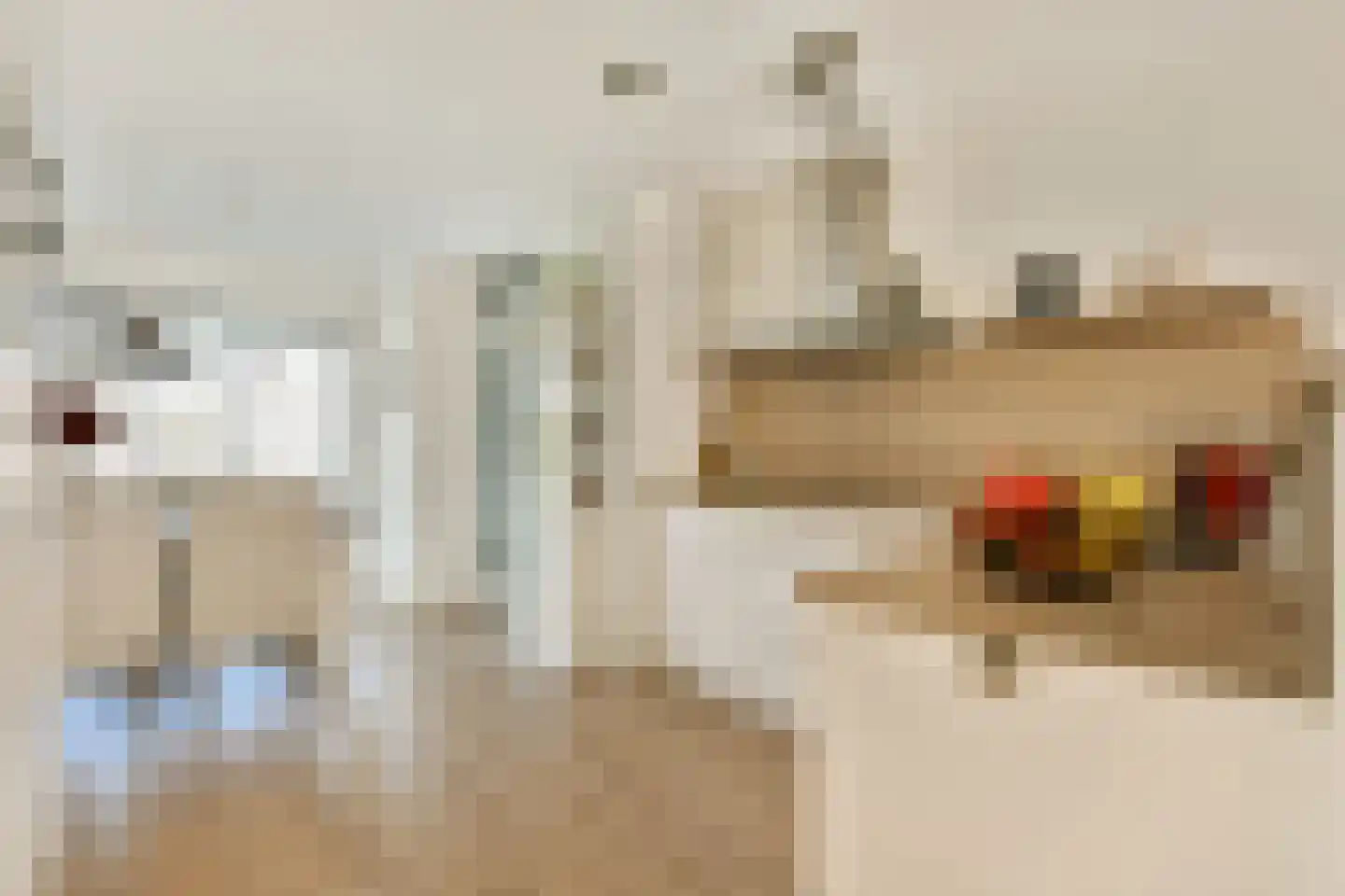 Mantegnaplantsoen 6 Almere thumbnail 7