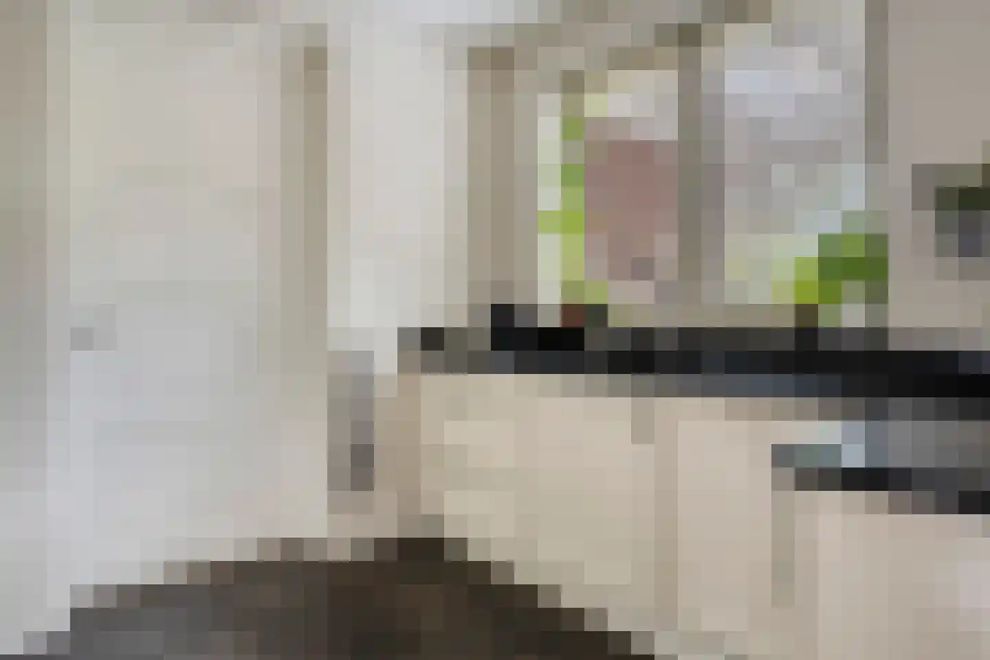 Mantelappel 35 Hoogezand thumbnail 12