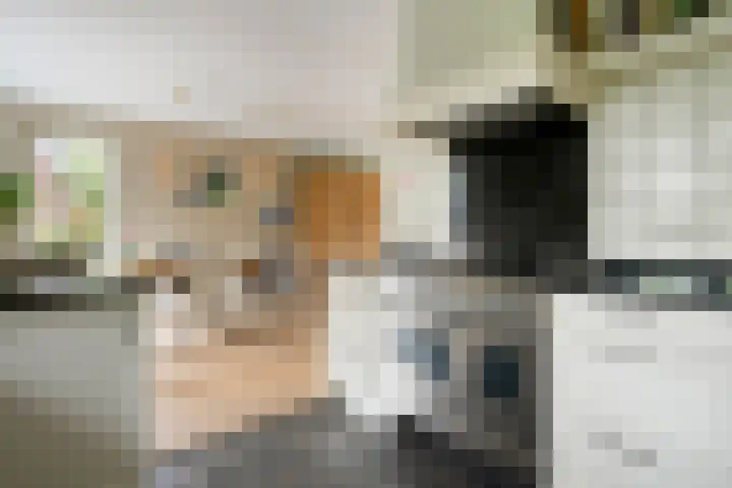 Mantelappel 35 Hoogezand thumbnail 13