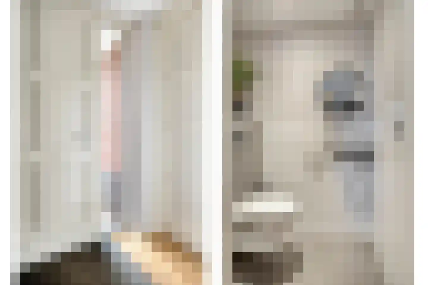 Mantelappel 35 Hoogezand thumbnail 20