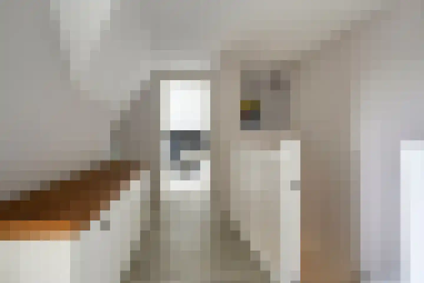 Mantelappel 35 Hoogezand thumbnail 23