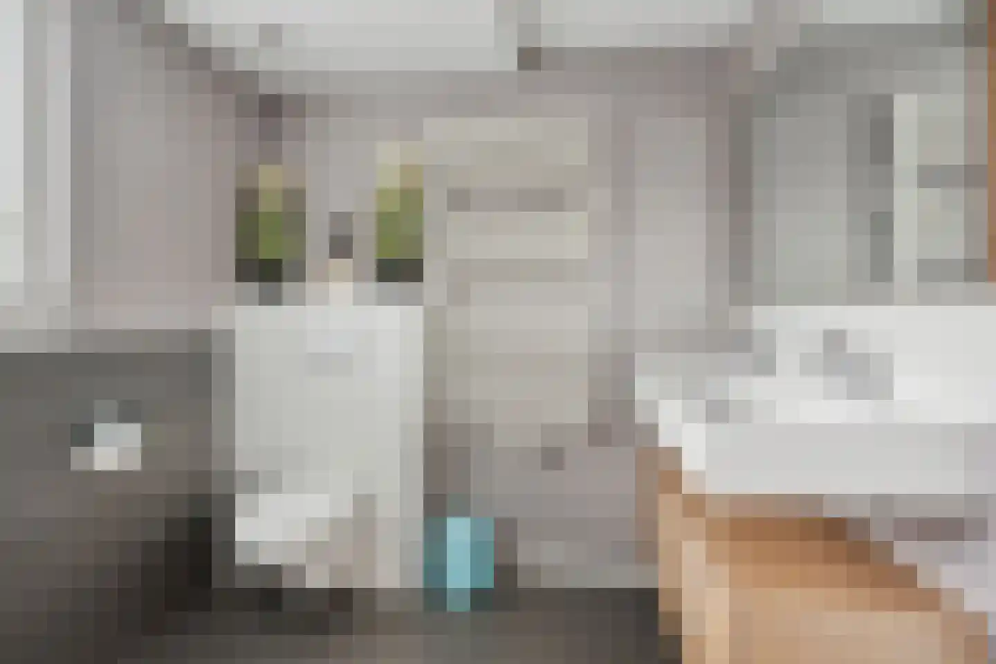 Mantelappel 35 Hoogezand thumbnail 34