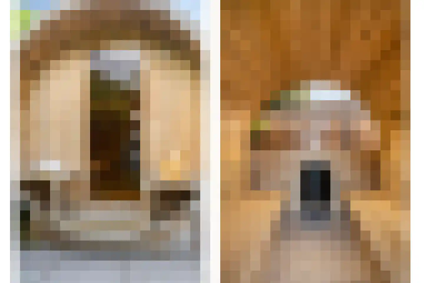 Mantelappel 35 Hoogezand thumbnail 39