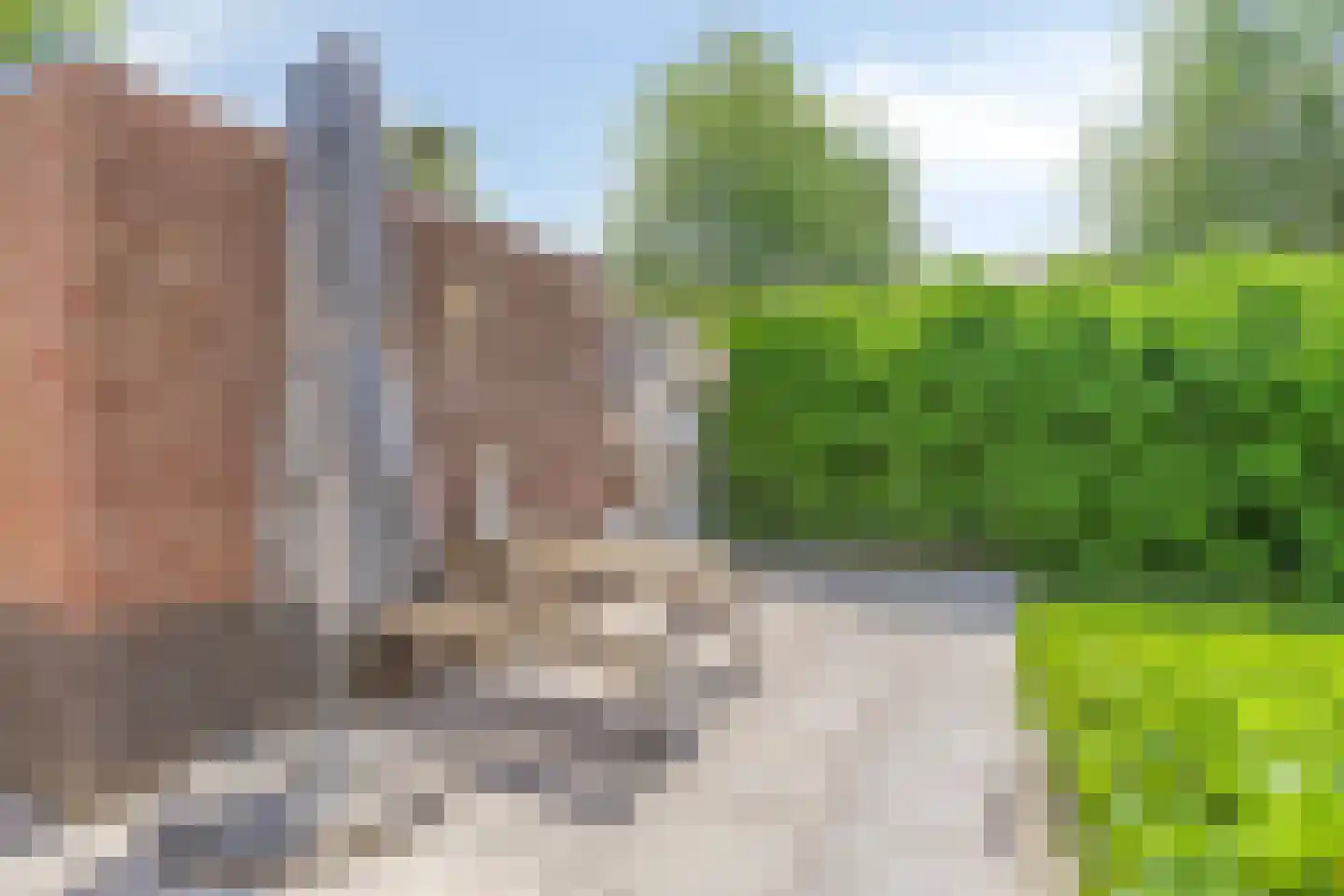 Mantelappel 35 Hoogezand thumbnail 44