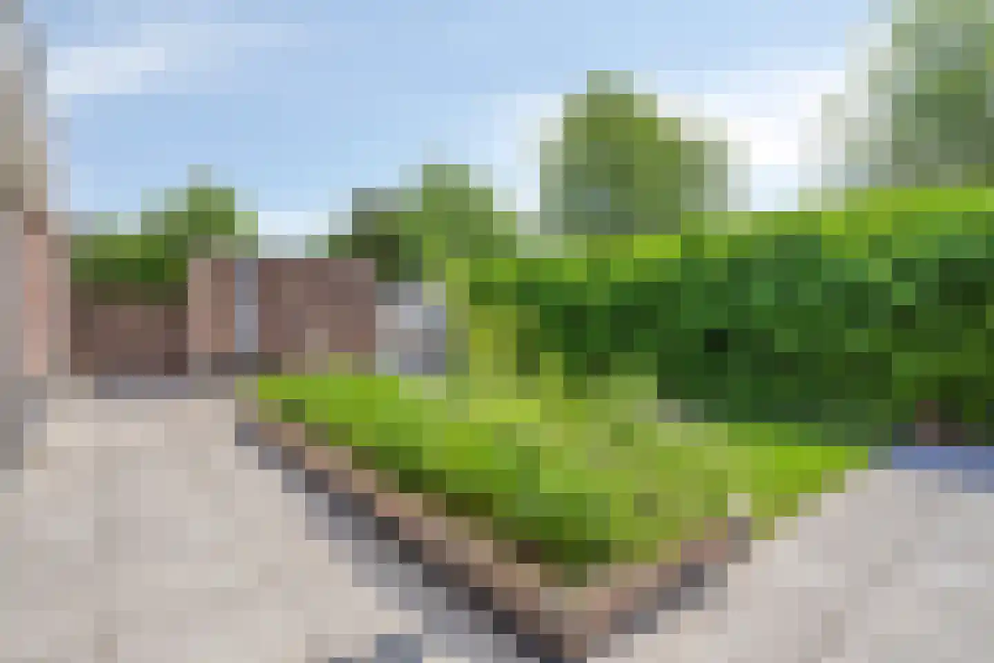 Mantelappel 35 Hoogezand thumbnail 45