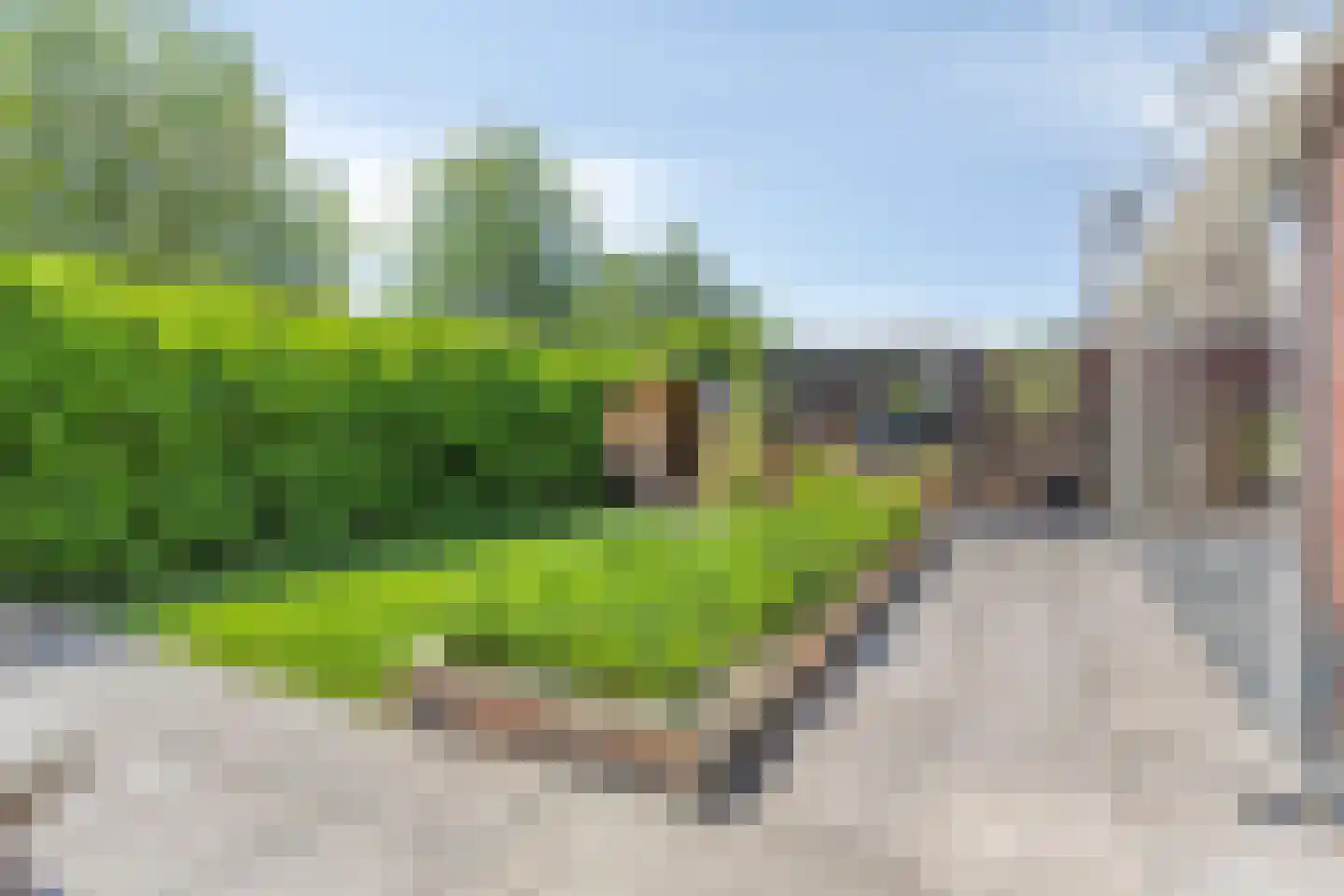 Mantelappel 35 Hoogezand thumbnail 46