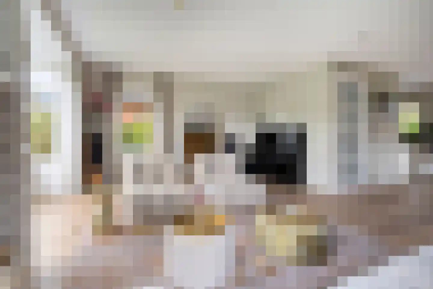 Mantelappel 35 Hoogezand thumbnail 5