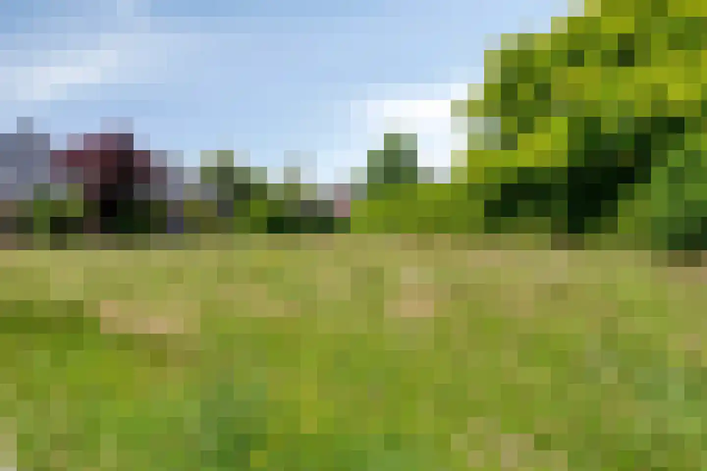 Mantelappel 35 Hoogezand thumbnail 52