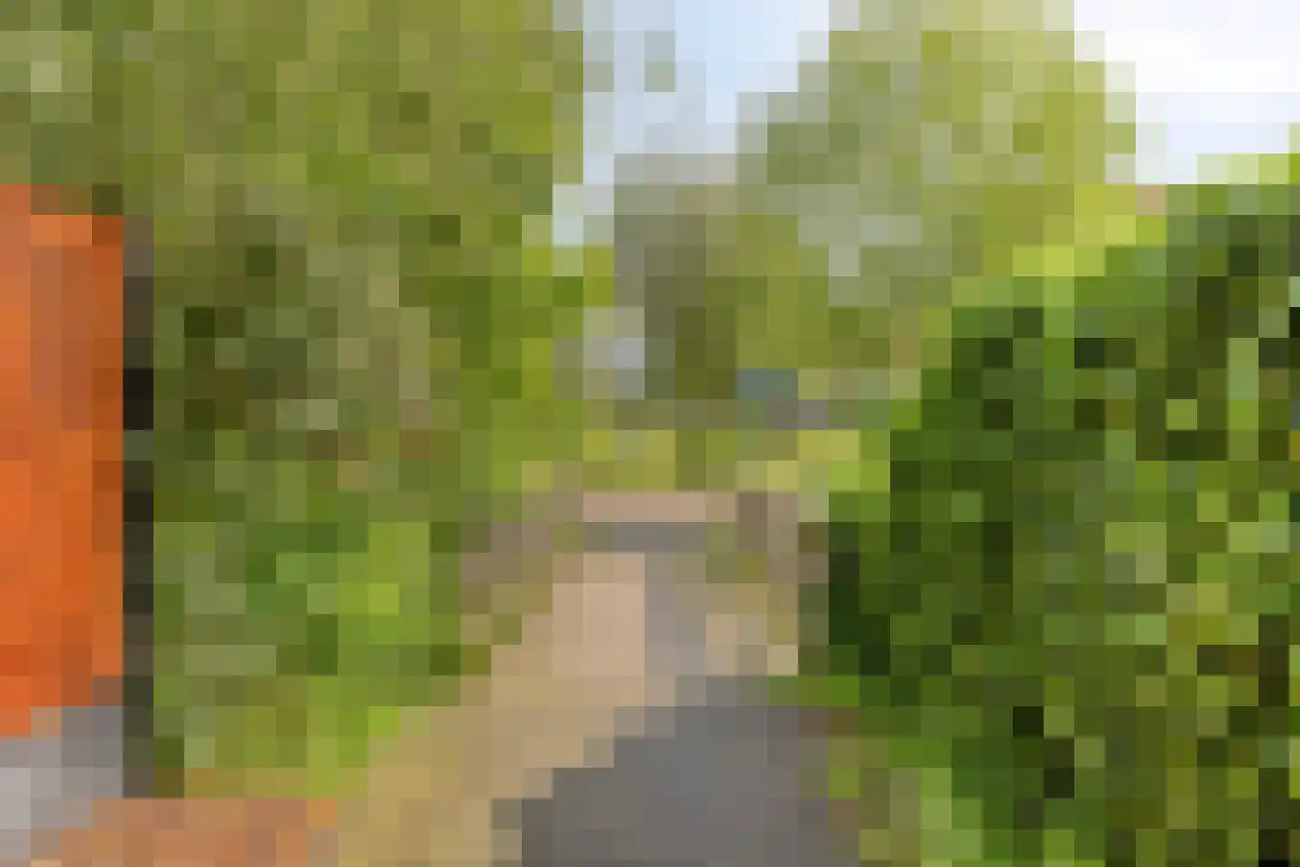 Mantelappel 35 Hoogezand thumbnail 53