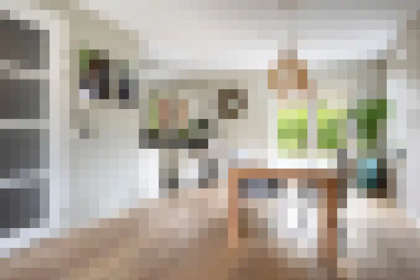 Mantelappel 35 Hoogezand thumbnail 8